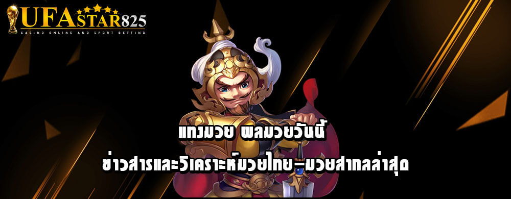 แทงมวย ผลมวยวันนี้ ข่าวสารและวิเคราะห์มวยไทย-มวยสากลล่าสุด